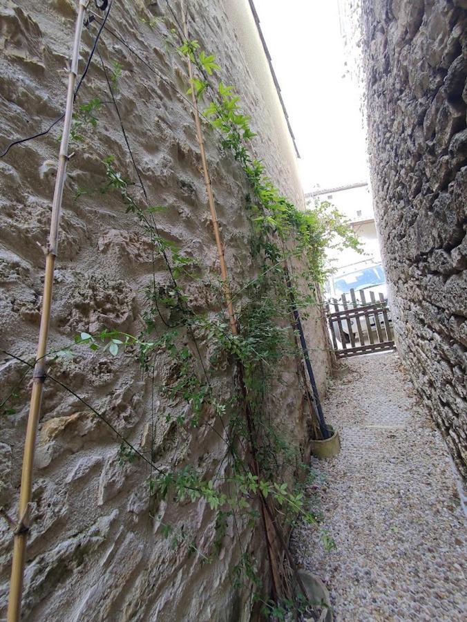Il Fait Bon Vivre Classe 3 Etoiles * Montcuq